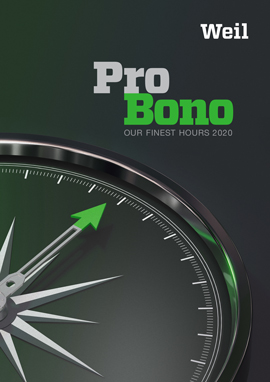 Pro Bono Annual Pro Bono Annual