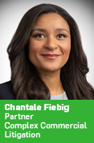 Chantale Fiebig, Complex Commercial Litigation Partner
