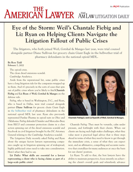Chantale Fiebig and Liz Ryan Featured in a Q&A with The AmLaw Litigation Daily