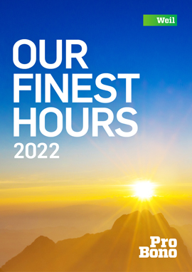 2022 Pro Bono Annual Review