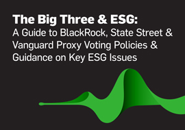 The Big Three & ESG