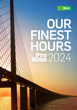 Pro Bono Annual 2024