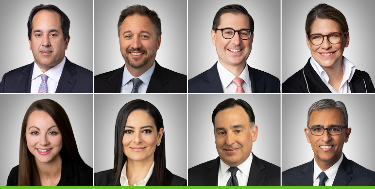 Daniel Stein, Drew Tulumello, Andrew Dean, Britta Grauke, Hayley Lund, Nili Moghaddam, Robert Stern and Sanjay Wadhwa