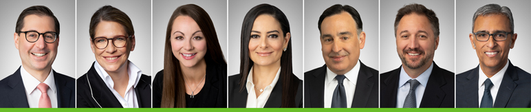 Headshots of Andrew Dean, Britta Grauke, Hayley Lund, Nili Moghaddam, Daniel Stein, Robert Stern, Drew Tulumello and Sanjay Wadhwa 