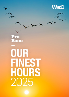 Pro Bono Annual 2025