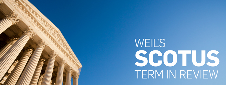 SCOTUS Term in Review