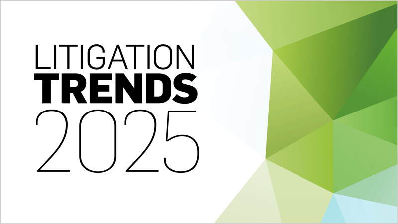 Litigation Trends 2025