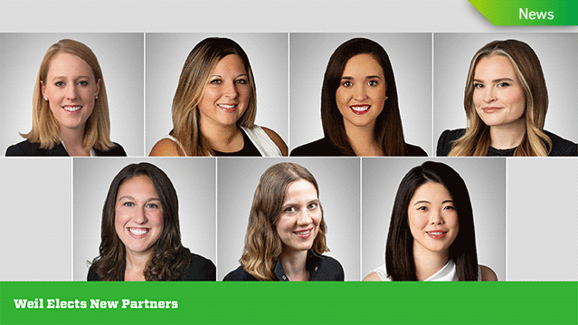 Women of Weil animation