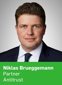 Headshot of Niklas Brueggemann, Partner, Antitrust
