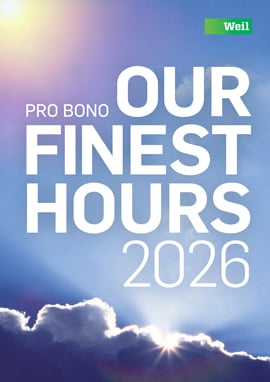 2026 Pro Bono Annual Review