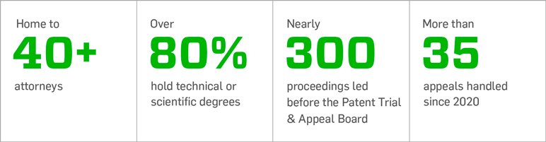 Patent Litigation Infographic