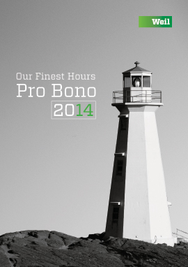 2014 Pro Bono Annual Review