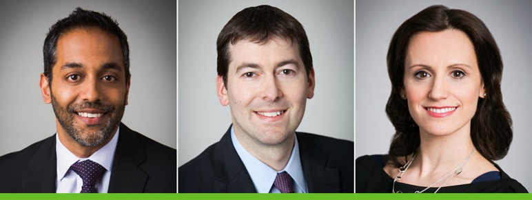 Anish Desai, Eric Hochstadt, Stephanie Srulowitz
