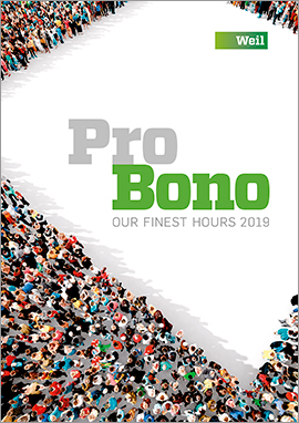 Pro Bono Annual Pro Bono Annual