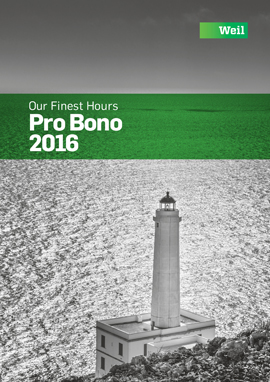 View the 2016 Pro Bono Annual Review View the 2016 Pro Bono Annual Review